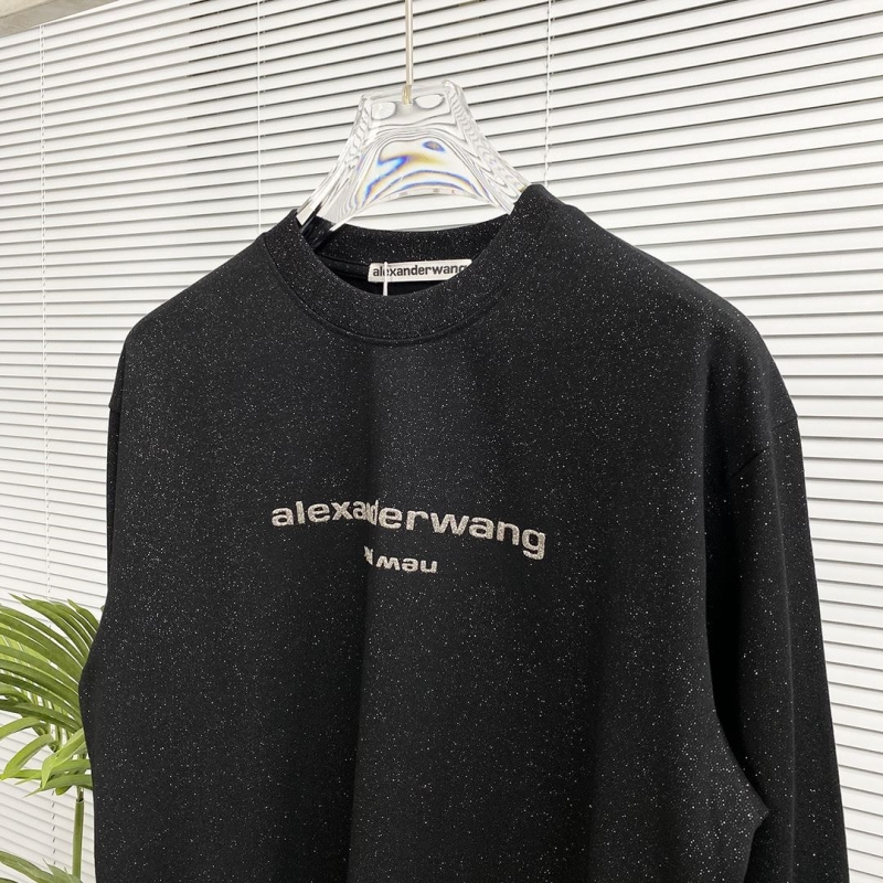 Alexander Wang Hoodies